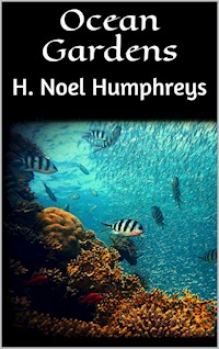 Ocean Gardens - H. Noel Humphreys - E-Book