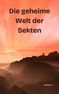 Die geheime Welt der Sekten - Tobias Hopfmüller - E-Book