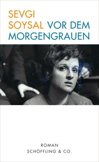 Vor dem Morgengrauen - Sevgi Soysal - E-Book