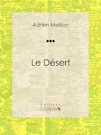 Le désert - Adrien Mellion - E-Book