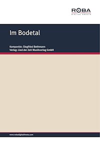 Im Bodetal - Siegfried Bethmann - E-Book