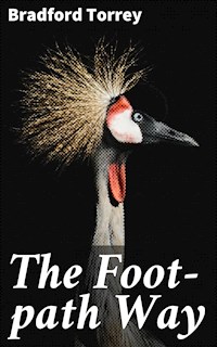 The Foot-path Way - Bradford Torrey - E-Book