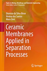Ceramic Membranes Applied in Separation Processes - Dionisio da Silva Biron - E-Book