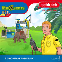 Folgen 11-12: Aus dem Hinterhalt - Antje Seibel - Hörbuch