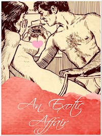 An Exotic Affair - George Willson - E-Book