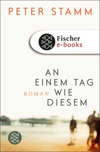 An einem Tag wie diesem - Peter Stamm - E-Book