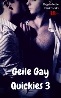 Geile Gay Quickies 3 - Bernadette Binkowski - E-Book