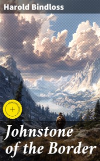 Johnstone of the Border - Harold Bindloss - E-Book