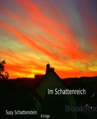 Im Schattenreich - Susy Schattenstein - E-Book