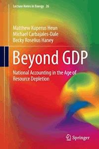 Beyond GDP - Matthew Kuperus Heun - E-Book