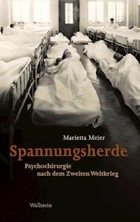 Spannungsherde - Marietta Meier - E-Book