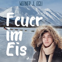 Feuer im Eis - Werner J. Egli - Hörbuch