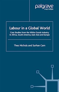 Labour in a Global World - T. Nichols - E-Book