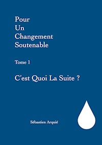 Pour un changement soutenable - Sébastien Arquié - E-Book
