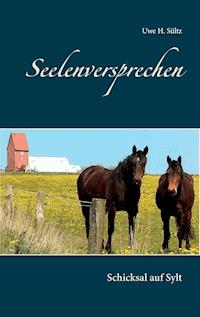 Seelenversprechen - Uwe H. Sültz - E-Book