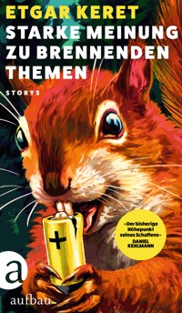 Starke Meinung zu brennenden Themen - Etgar Keret - E-Book