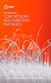 EDF PME innovantes - L'innovation pour les métiers du groupe - EDF - E-Book