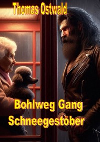 Bohlweg Gang - Schneegestöber - Thomas Ostwald - E-Book