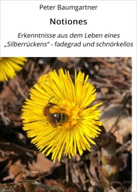 Notiones - Peter Baumgartner - E-Book
