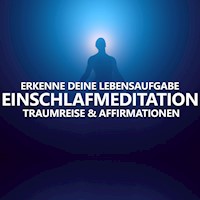 Erkenne deine Lebensaufgabe - Raphael Kempermann - Hörbuch