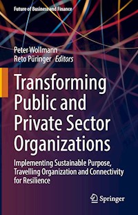 Transforming Public and Private Sector Organizations -  - E-Book
