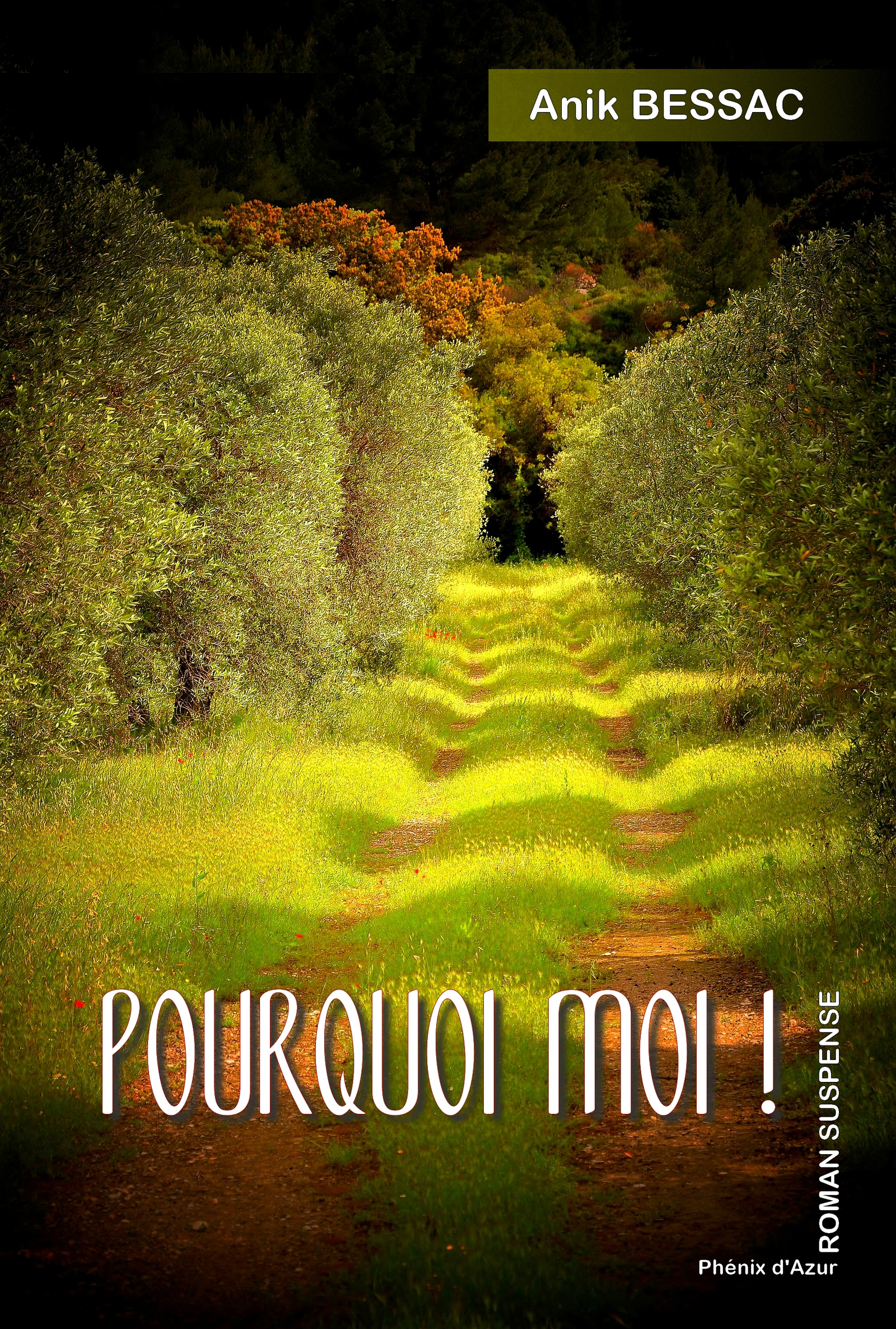Pourquoi moi ! - BESSAC - E-Book