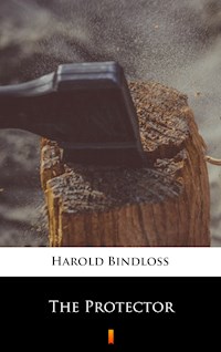The Protector - Harold Bindloss - E-Book