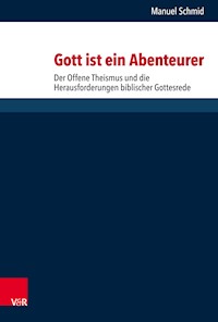 Gott ist ein Abenteurer - Manuel Schmid - E-Book