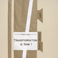 Transformation is Now! - Petra Schmiedecke - E-Book