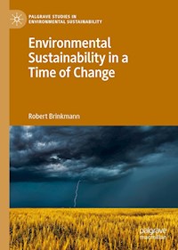 Environmental Sustainability in a Time of Change - Robert Brinkmann - E-Book