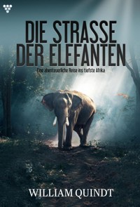Eine abenteuerliche Reise ins tiefste Afrika - William Quindt - E-Book