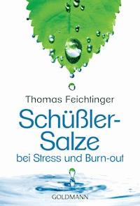 Schüßler-Salze bei Stress und Burn-out - Thomas Feichtinger - E-Book