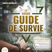 LE GRAND GUIDE DE SURVIE - Survivre dans des situations dangereuses et extrêmes: Les techniques d'experts en survivalisme et bushcraft. Deviens un pro de la survie et surmonte toutes les crises - Andrew Bramstone - Hörbuch