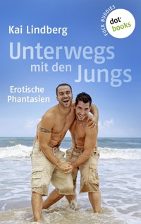 Fuck Buddies - Band 2: Unterwegs mit den Jungs - Kai Lindberg - E-Book