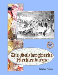 Die Salzbergwerke Mecklenburgs - Günter Pinzke - E-Book