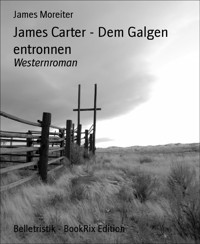 James Carter - Dem Galgen entronnen - James Moreiter - E-Book