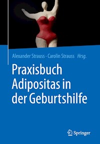 Praxisbuch Adipositas in der Geburtshilfe -  - E-Book