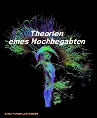 Theorien eines Hoch-Begabten - Hohenauer Markus - E-Book