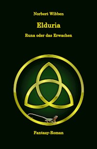 Elduria - Runa oder das Erwachen - Norbert Wibben - E-Book