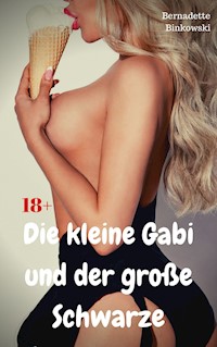 Die kleine Gabi und der große Schwarze - Bernadette Binkowski - E-Book