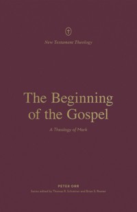 The Beginning of the Gospel - Peter Orr - E-Book