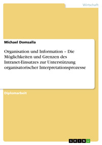 Organisation und Information – Die Möglichkeiten und Grenzen des Intranet-Einsatzes zur Unterstützung organisatorischer Interpretationsprozesse - Michael Domsalla - E-Book