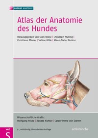 Atlas der Anatomie des Hundes - BUDRAS ANATOMIE - E-Book