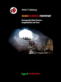 Heißes Pflaster: Frankfurt - Merlin T. Salzburg - E-Book