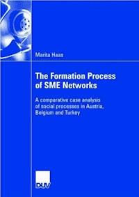 The Formation Process of SME Networks - Marita Haas - E-Book