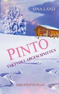 Pinto - Der fünfte Plan - Sina Land - E-Book