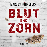 Blut und Zorn - Drosten und Sommer, Band 3 (ungekürzt) - Marcus Hünnebeck - Hörbuch