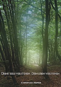 Deine Seele verstehen - Dein Leben verstehen - Christian Hofer - E-Book