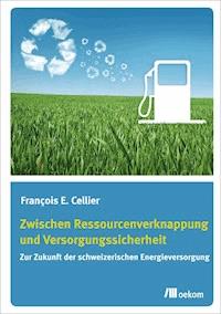 Zwischen Ressourcenverknappung und Versorgungssicherheit - Francois E. Cellier - E-Book