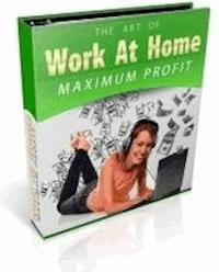 Work At Home Maximum Profits - Ouvrage Collectif - E-Book